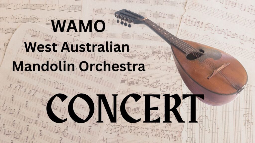 WAMO Concert