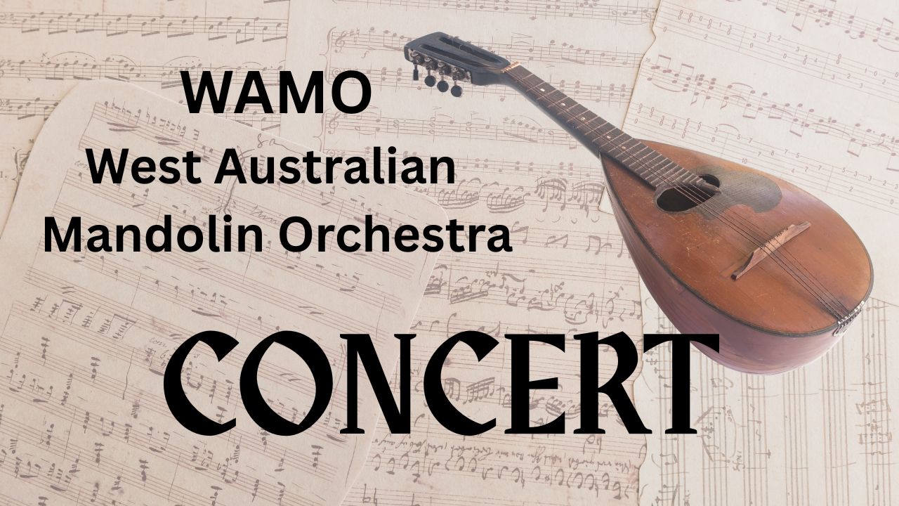 WAMO Concert